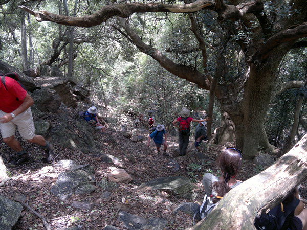 castle gorge hike